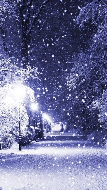 screensavers winter bing wallpapers desktop
