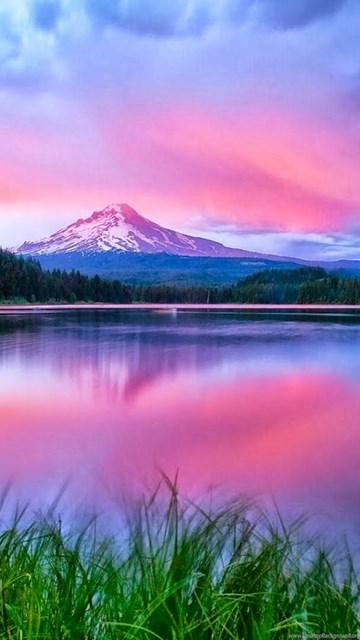 wonderful nature birthday 3d wallpapers wishes desktop