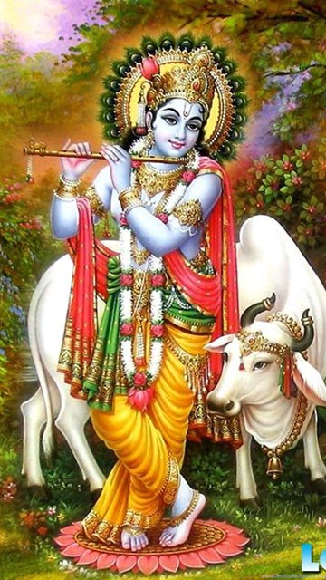 shree krishna hd video download shree krishna hd video download