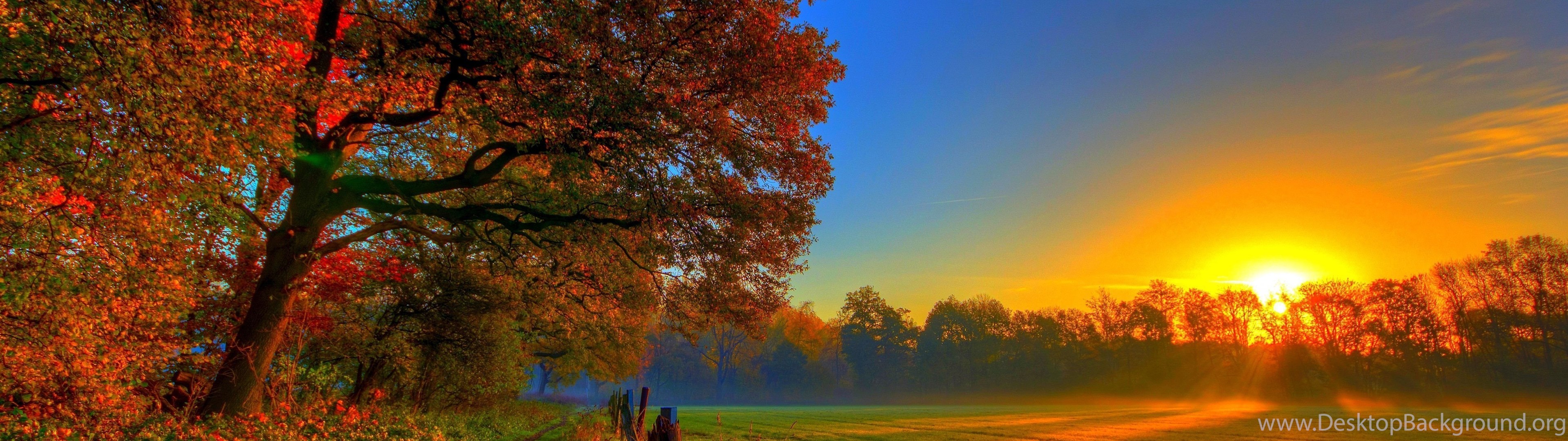 Autumn Wallpapers HD High Definition Hapehatelo.com ...