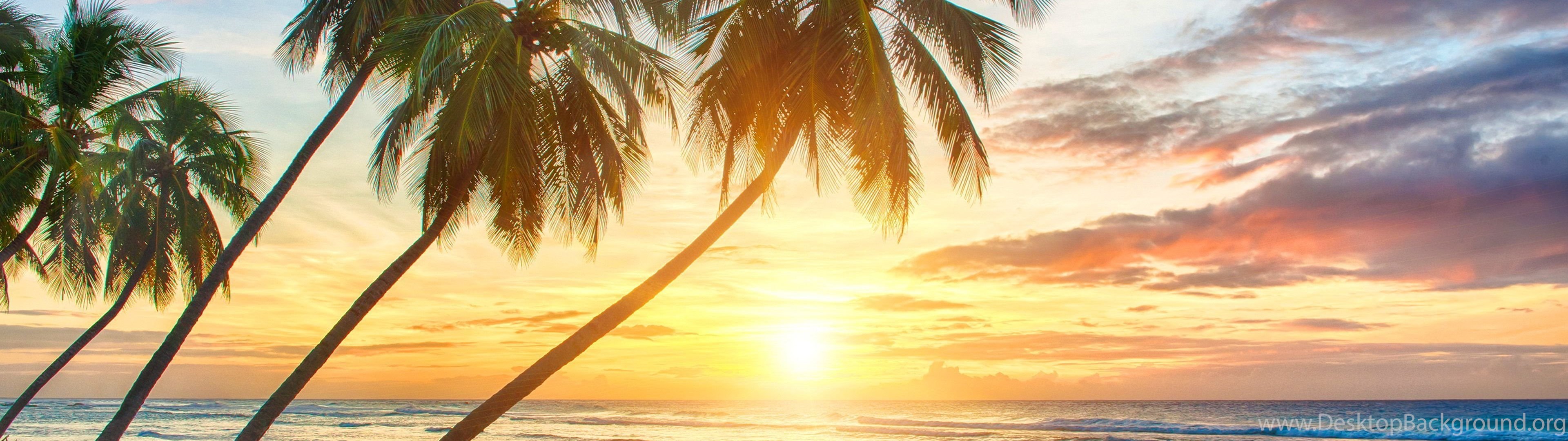 Tropical Wallpapers Desktop Background