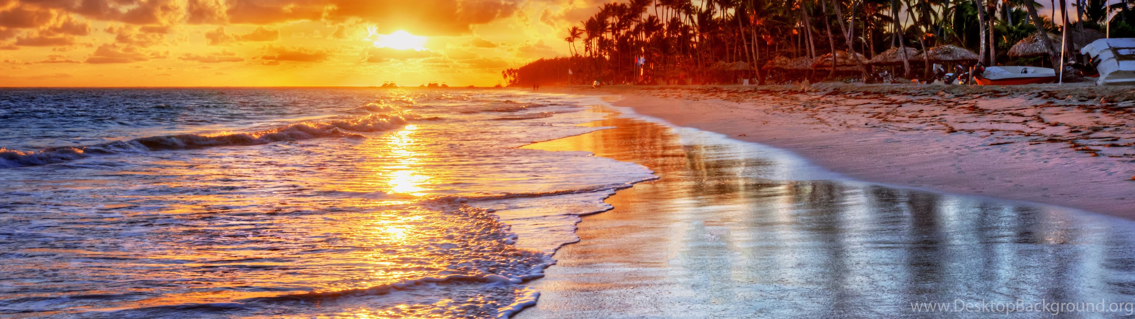 Sunset Tropical Ocean Sand Sea Palms Beach Shore