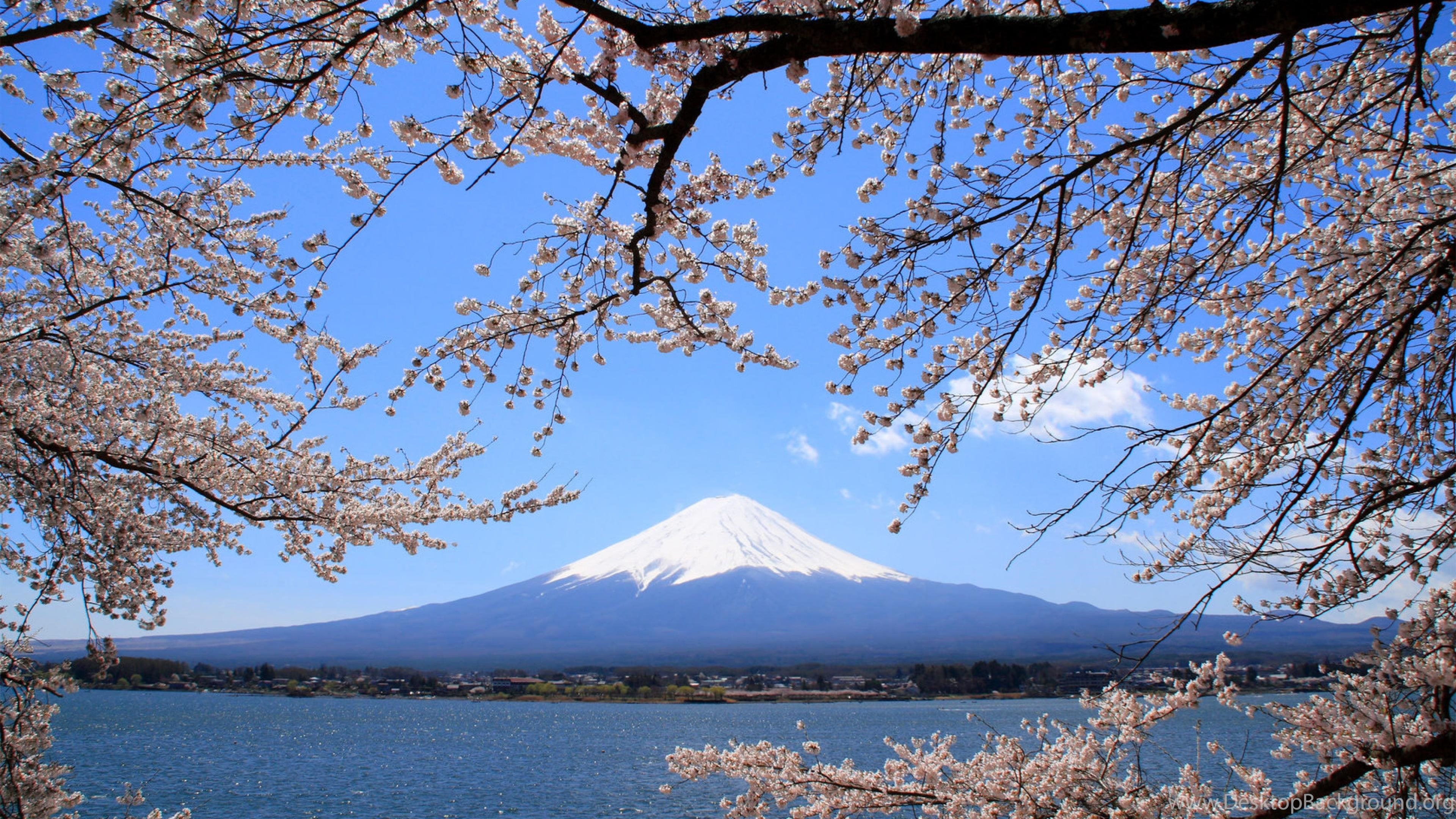 Милая хоккайдо я тебя хонсю. Гора Фудзияма в Японии. Фудзи-Сан - Священная гора японцев. Япония Сакура и Фудзияма. Япония гора Фудзияма и Сакура.