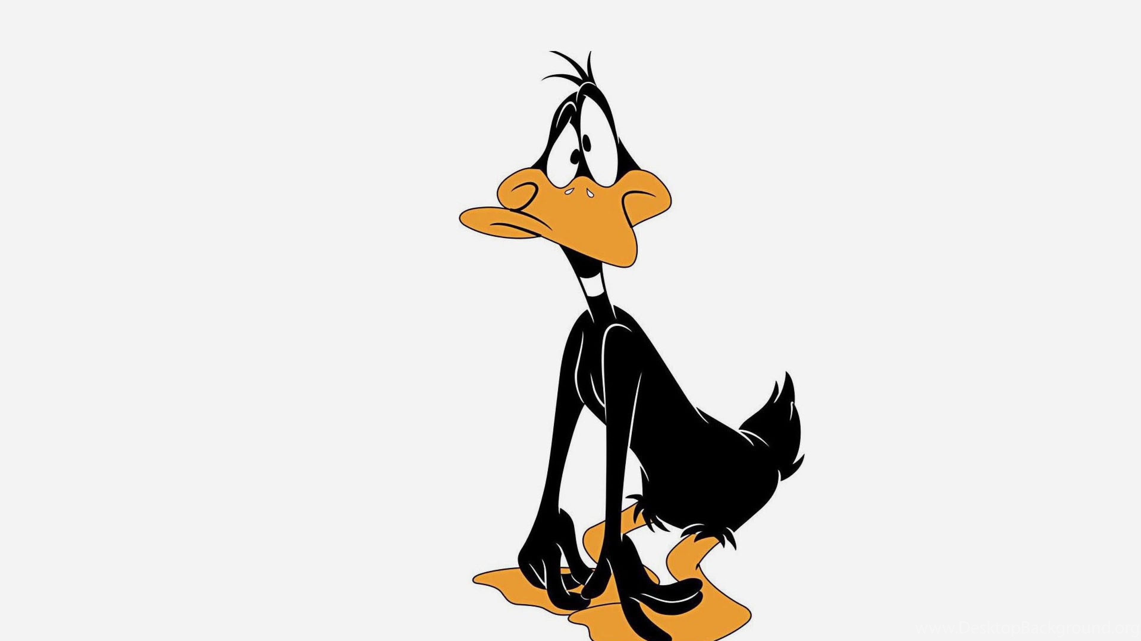 Looney tunes cartoons. Даффи дак. Даффи дак герои мультфильма. Луни Тюнз шоу утка. 2004 Мультсериал президента Даффи дак.