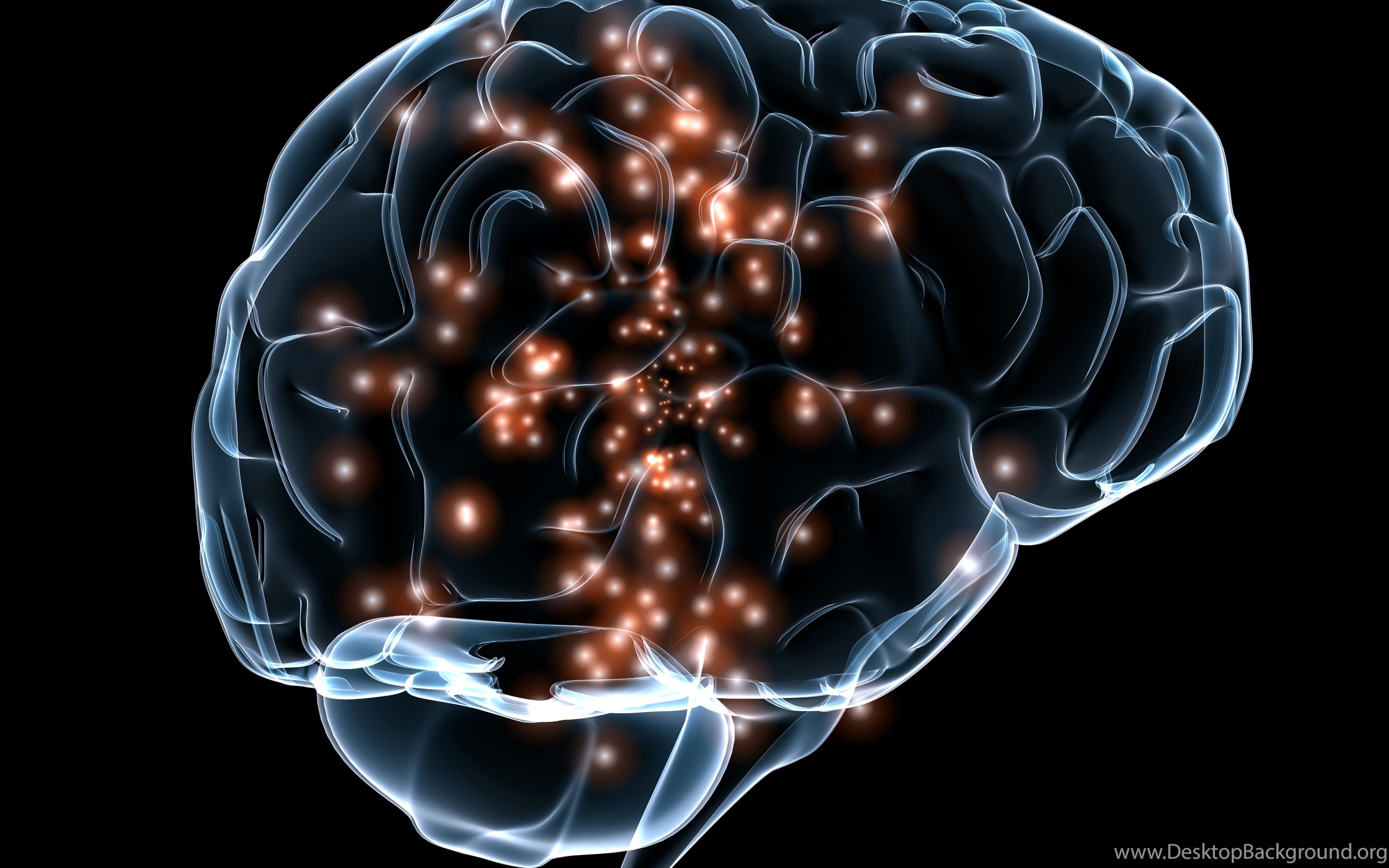 Brain download. Нейро мозг. Вычислительная нейробиология. Нейронные связи головного мозга.