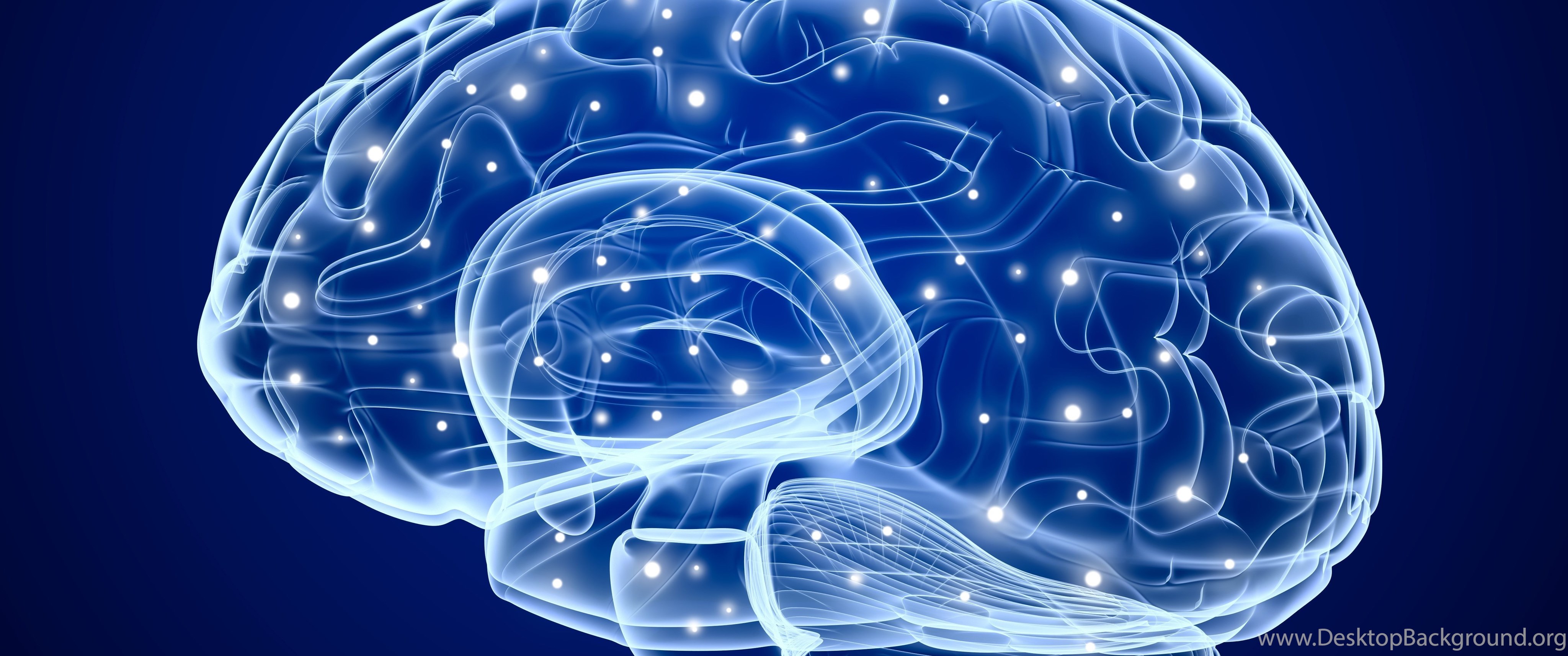 Brains talks. Синий мозг. Мозг картинки для презентации. Нейробиология. Нейрохирургия фон.