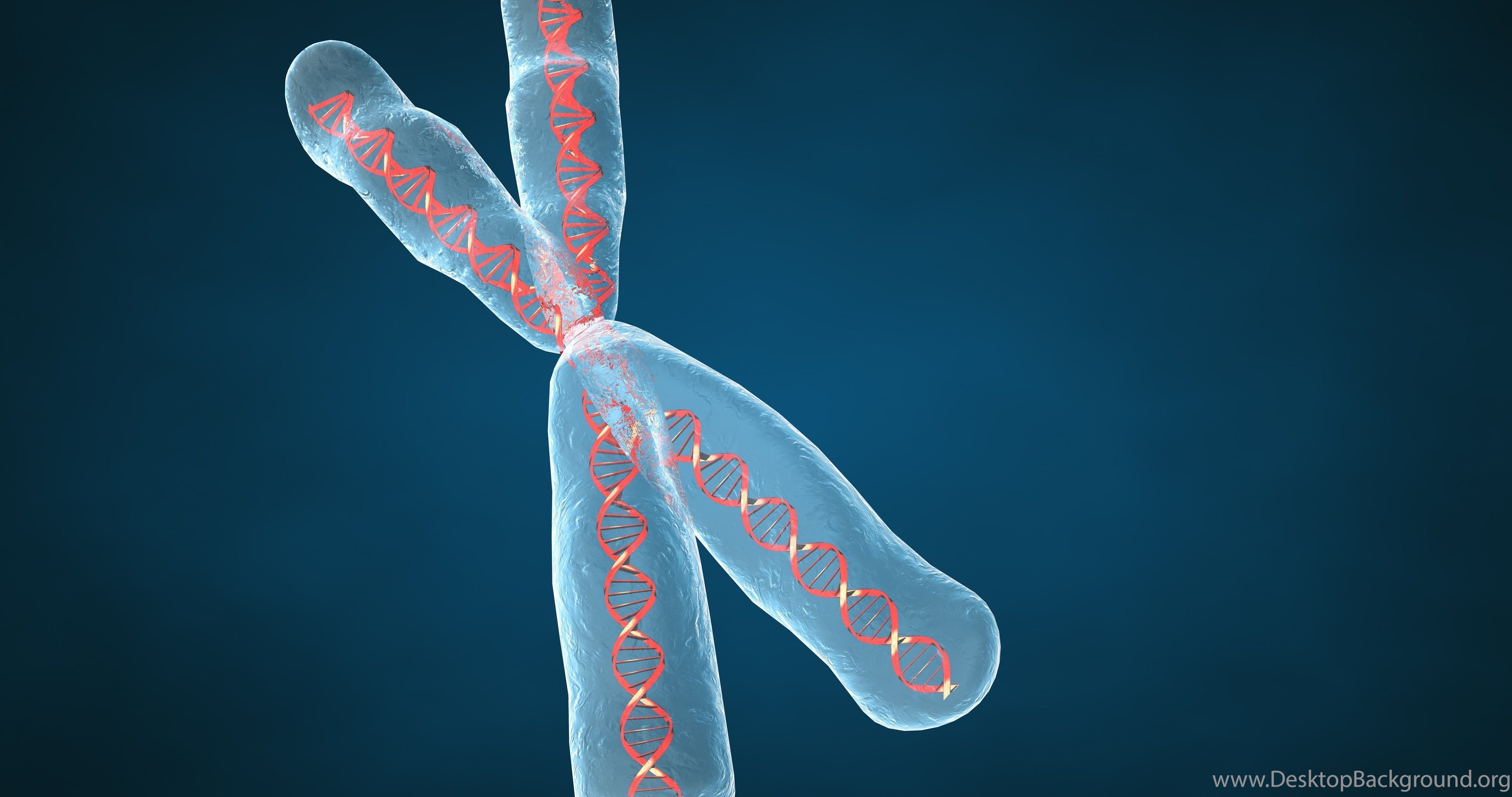 Chromosome Dna Pattern Genetic 3 d Psychedelic Wallpapers ... Desktop Background