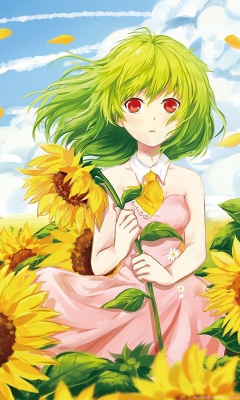 Anime Girl Sunflowers Summer Mood Manga Anime Kute