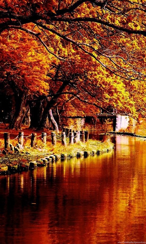 Autumn Tumblr Wallpapers Picture Desktop Background