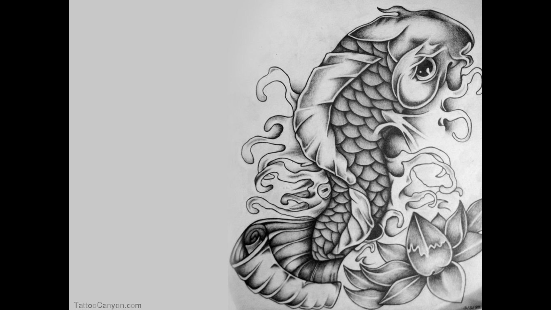 800+ Free Download Tattoo Design Background Idea Tattoo Photos