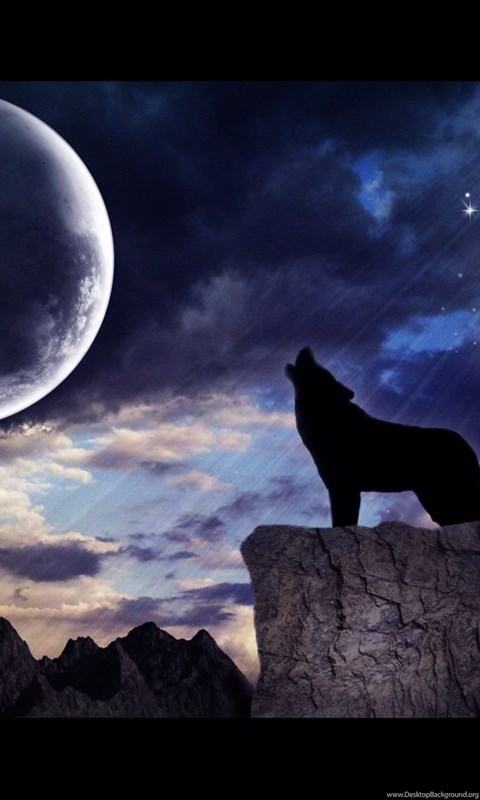 Wolf Howling Wallpaper Desktop Background