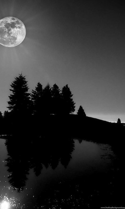 Nature & Landscape Black And White Moon Light Wallpaper. Black And ...