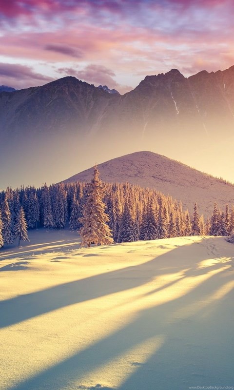 Nice And Beautiful Winter Wallpapers And Theme For Windows 10
