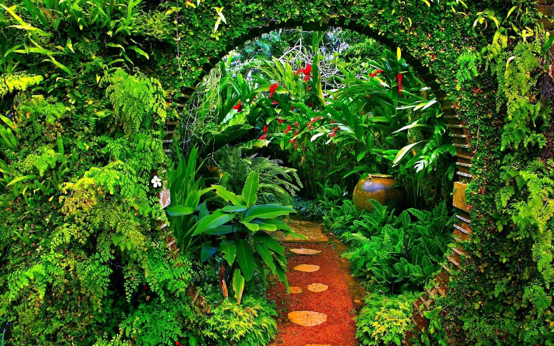 Garden Aesthetic Wallpaper - NewsGlobeJournalNewsGlobeJournal
