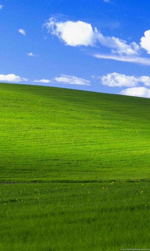 Windows Classic Field 1920x1080 Full HD 16/9 Wallpapers ...