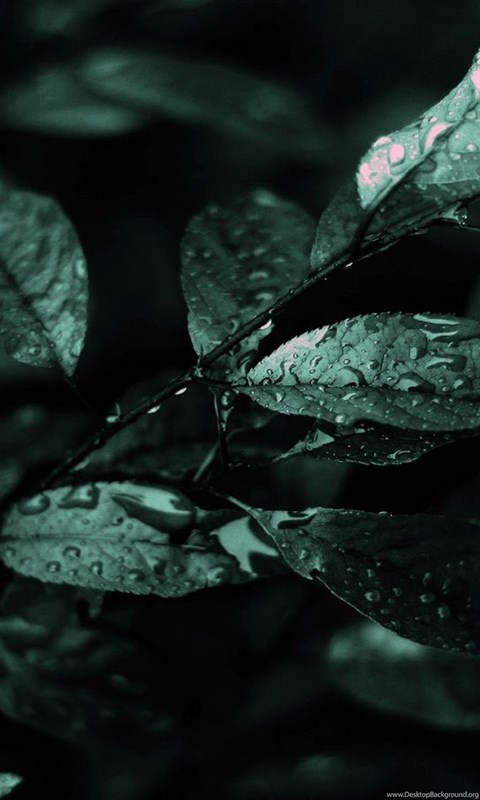 Abstract Dark Nature Hd Wallpapers Desktop Background Abstract Dark Nature Hd Wallpapers Desktop Background