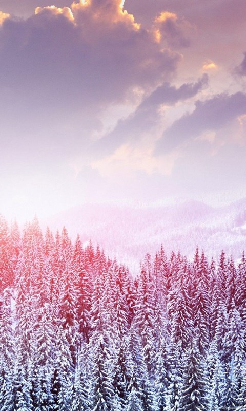 Winter Shine Wallpaper Allwallpaperin 15428 Pc En