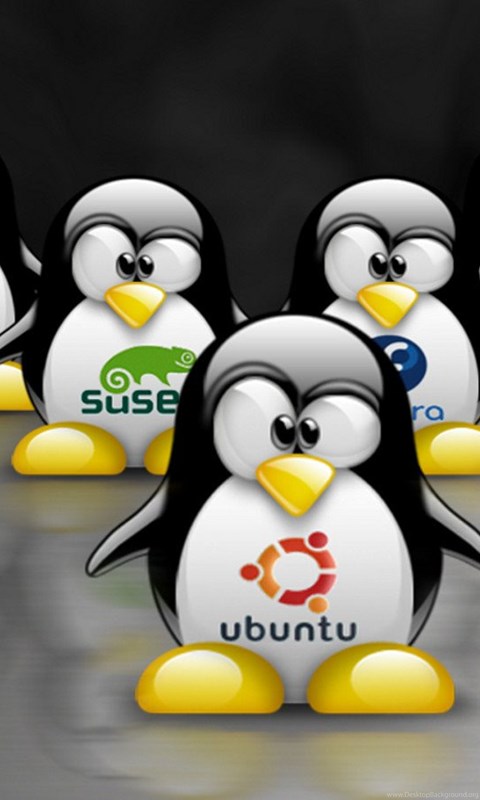 Vk linux