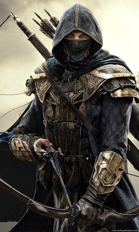 The Elder Scrolls Online, Archers Wallpapers HD / Desktop And ...