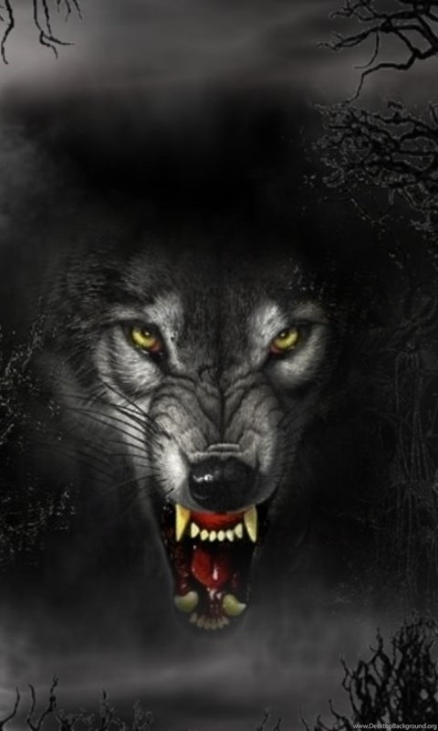 Evil Wolf Wallpapers Desktop Background