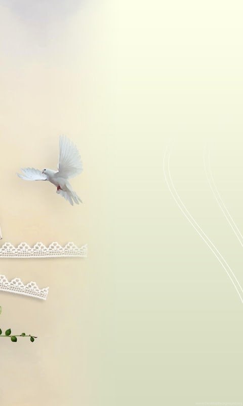 Download Wedding Album Indian Wedding Album Psd Templates Free Download Desktop Background PSD Mockup Templates