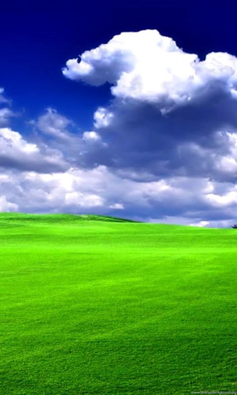 Windows Xp Bliss Wallpapers Hd Desktop Background