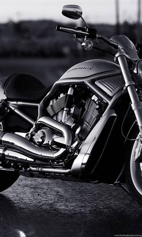 Otomotif Wallpaper Harley Davidson Chopper Wallpapers Hd Desktop Background