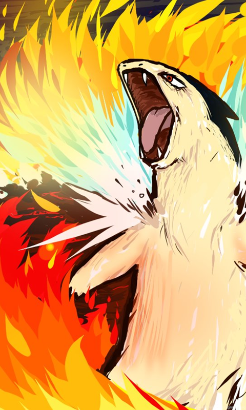 Download Typhlosion Mobile, Android, Tablet HD 480x800 Desktop Background. 