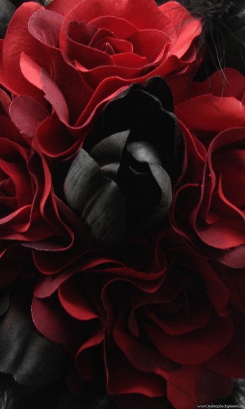 Wallpaper: Gothic, Abstract, Red Rose, Black, White ...