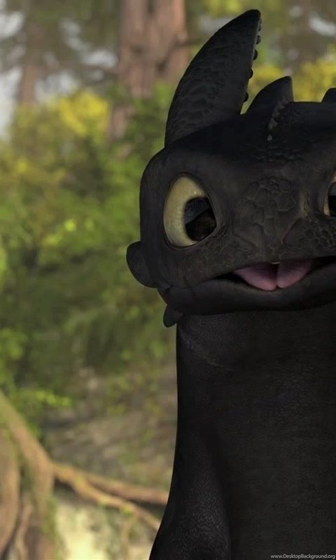 Toothless Pictures How To Train Your Dragon Wallpapers Hd