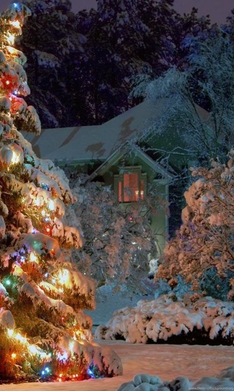 Winter Wonderland Christmas Tree Winter Christmas Tree X Desktop Background