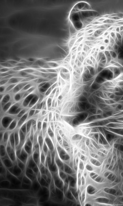 Fractalius Spirit Leopards Animal Snow Leopard Desktop