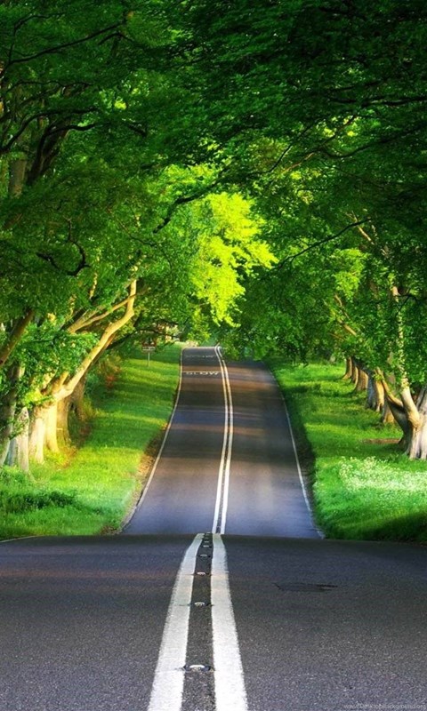 Live Wallpapers Hd Nature 3d Desktop Desktop Background Live Wallpapers Hd Nature 3d Desktop Desktop Background