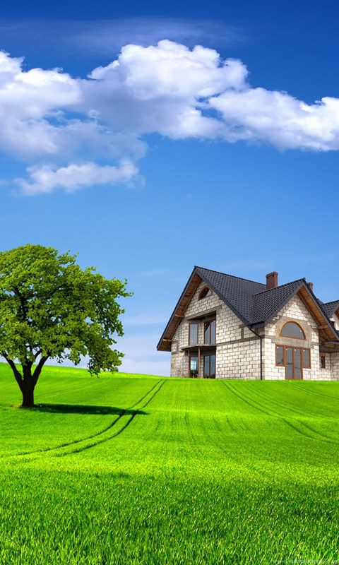 Home 3d Nature Wallpapers Hd Desktop Background