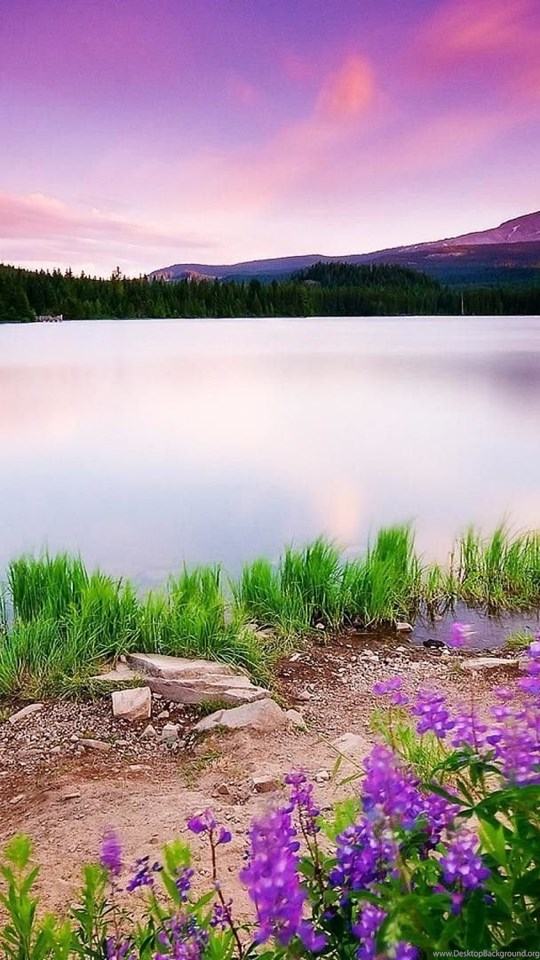 3d nature wallpaper hd 1080p free download HD Widescreen 3d nature wallpaper hd 1080p free download HD Widescreen