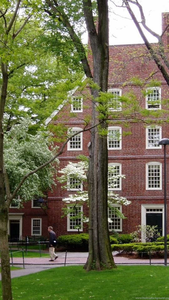 harvard university wallpapers desktop
