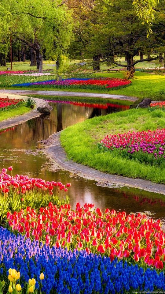 Wallpaper Garden Wallpaper Beautiful Nature Images : Best 500 Garden