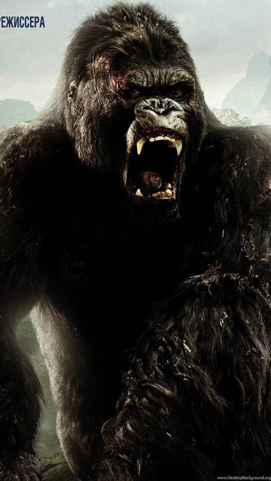 King Kong Wallpapers Wallpapers Cave Desktop Background