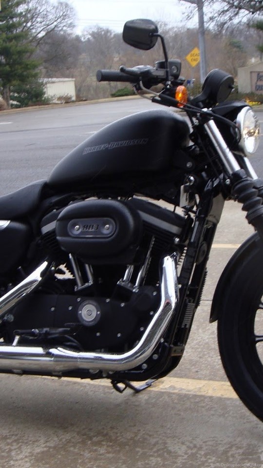 Harley Davidson Iron 883 Hd Wallpapers Desktop Background