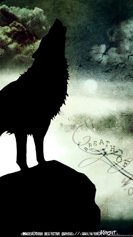 21 wolf