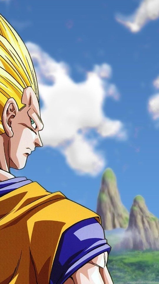 Hd Super Saiyan 3 Goku Dragon Ball Z Wallpapers Full Size