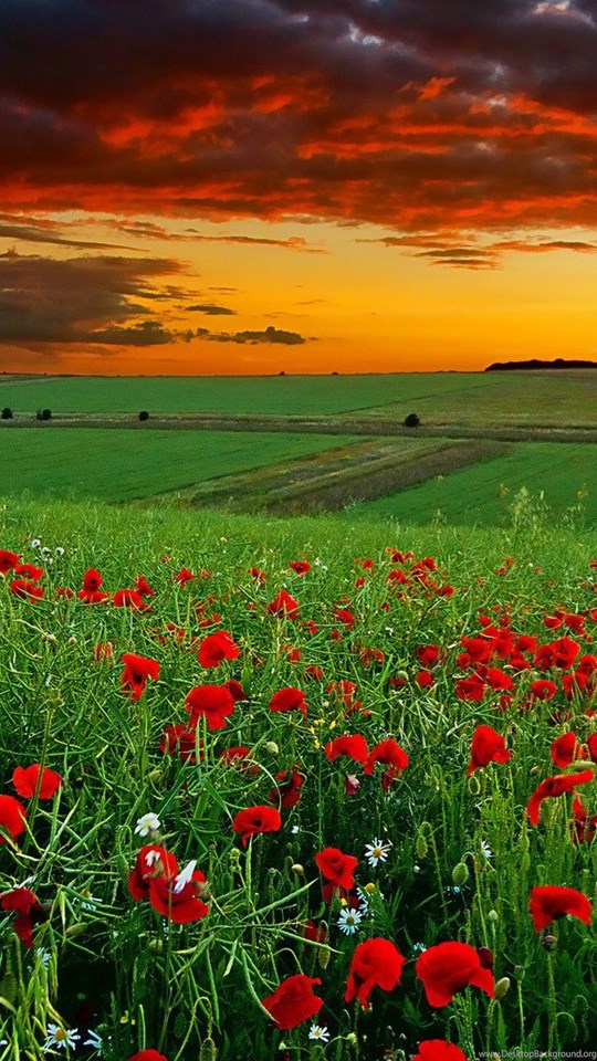 Hd Wallpapers 1080p Widescreen Nature Free Download - love ... Home > nature wallpapers > page 1.