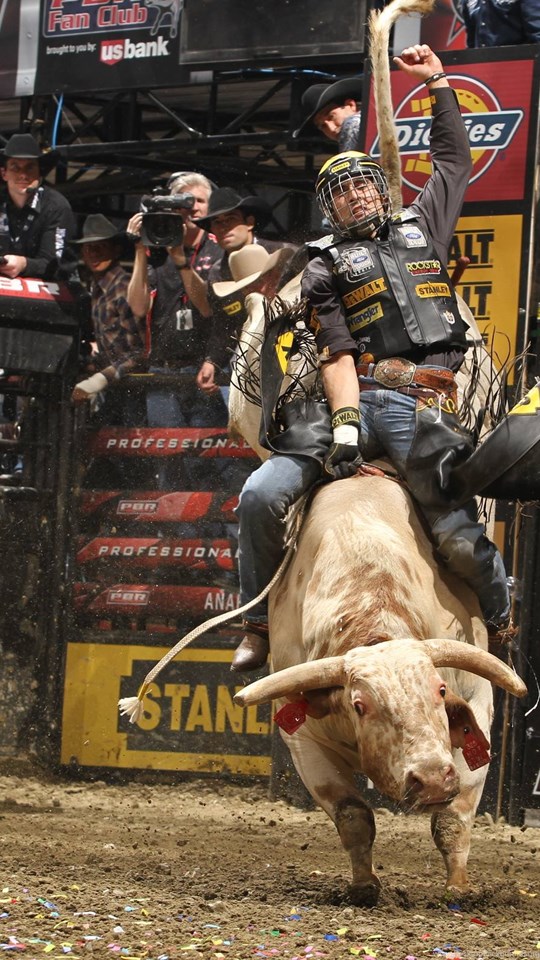 Bull Riding Wallpapers, Free Desktop Backgrounds Wallpapers Path