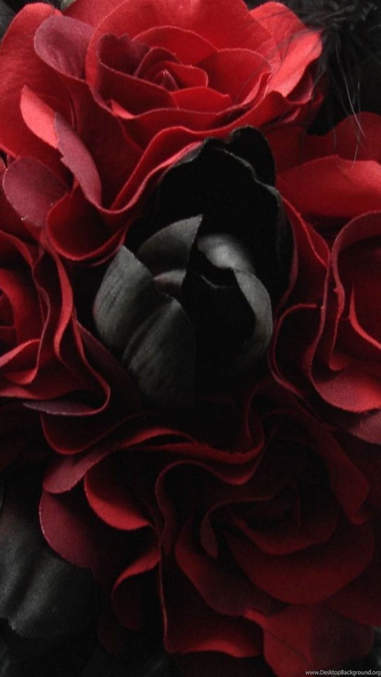Wallpaper: Gothic, Abstract, Red Rose, Black, White ...