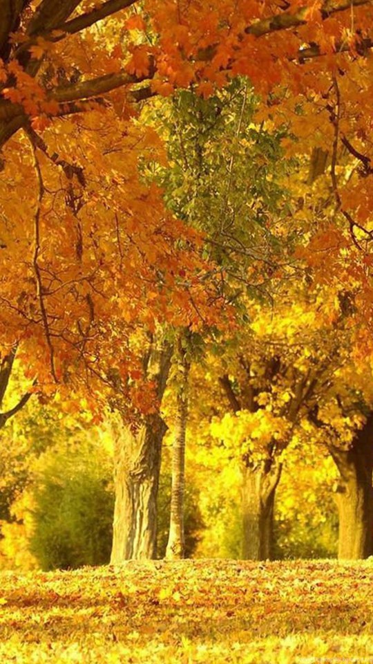 Unduh 700+ Background Pemandangan Full Hd Terbaik