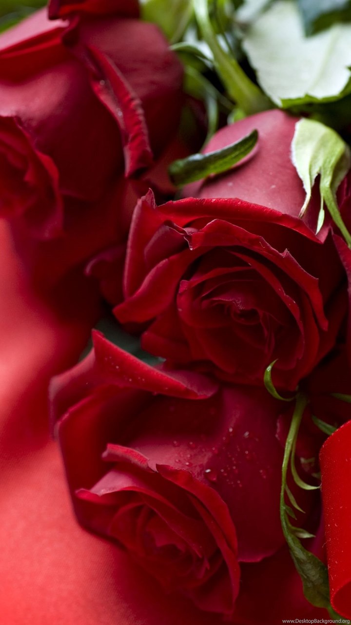 3d Wallpaper Rose For Android Image Num 90