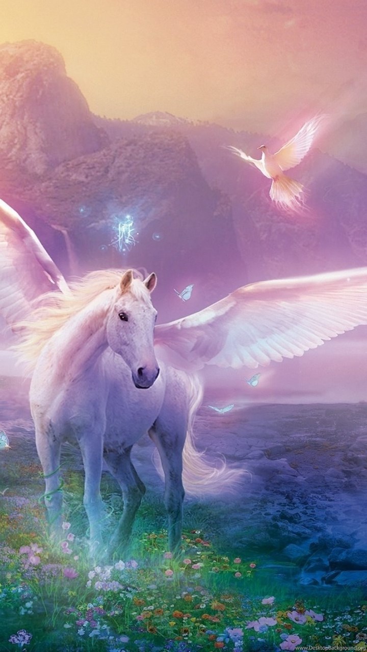  Unicorn  Computer Wallpapers  Desktop Backgrounds  Desktop 