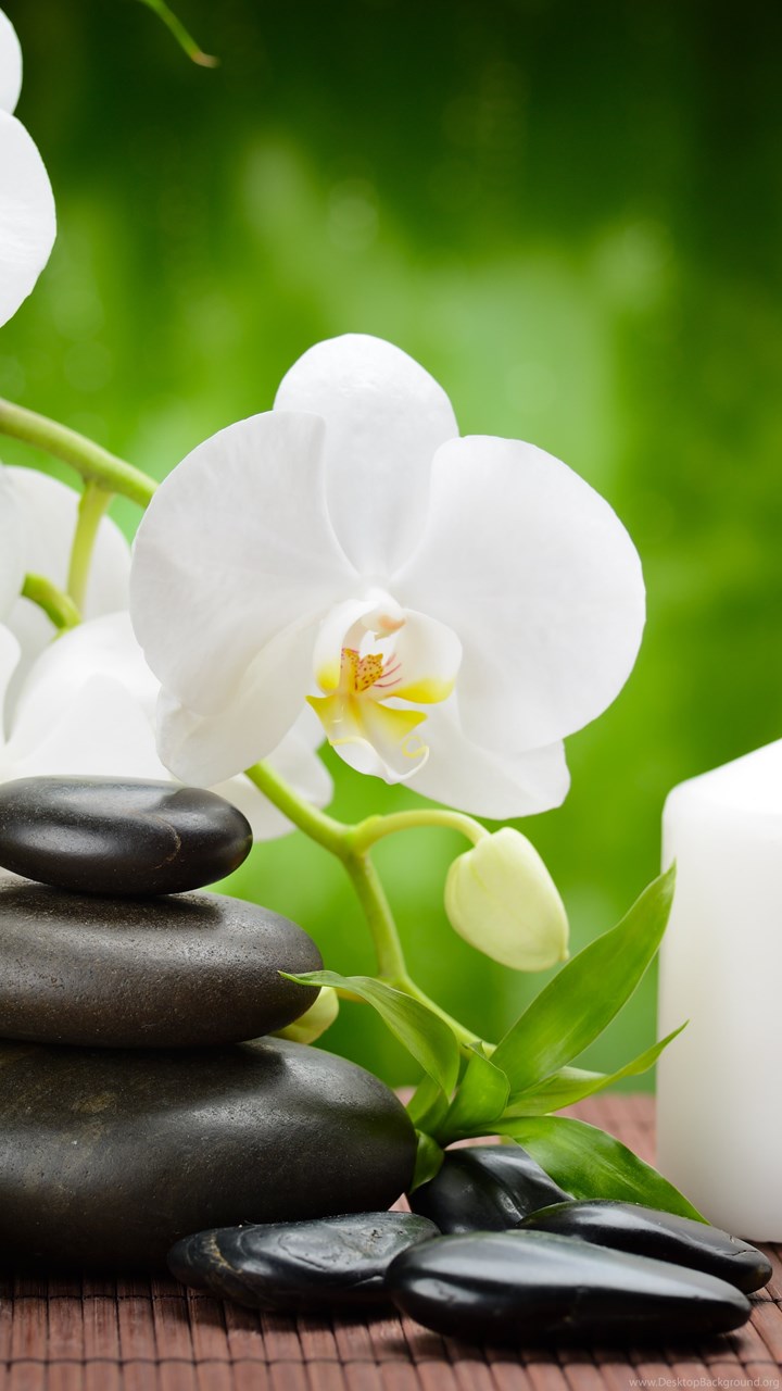 Zen Mood Bokeh Garden Buddhism Religion Wallpapers Desktop Background Zen Mood Bokeh Garden Buddhism Religion Wallpapers Desktop Background