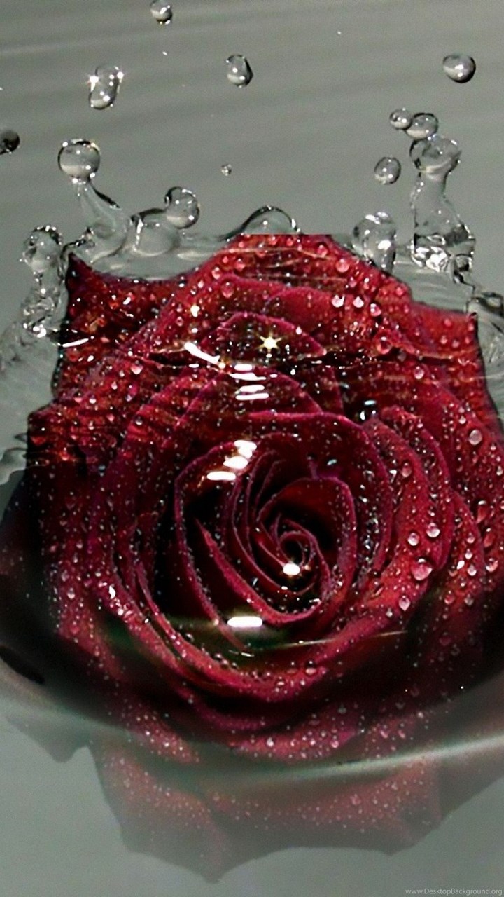 Red Rose In Water, Droplets, 2560x1440 HD Wallpapers And ...