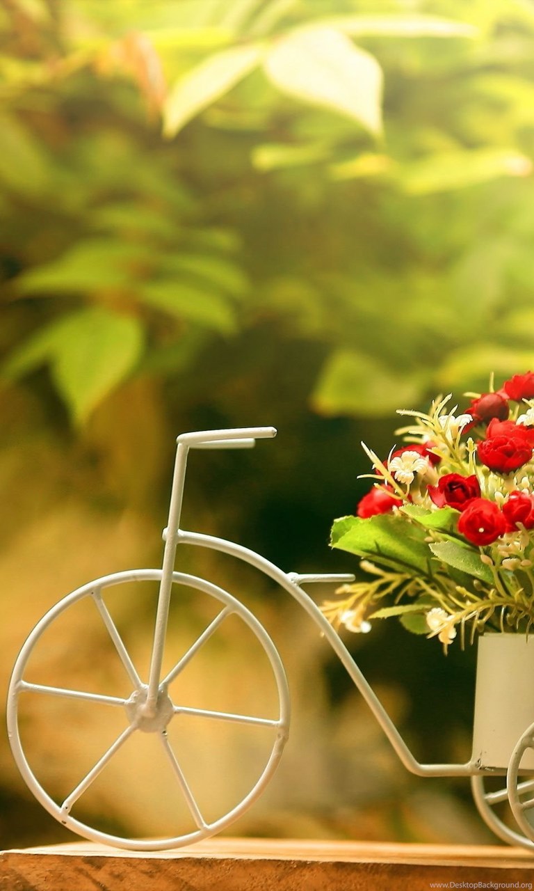 Велосипед в цветах зеленый. Велосипед цветы. Велосипед с цветами. Велосипед с розами. Декоративный велосипед для сада.